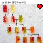 [댓글부탁해] 선바 보다가 언니한테 <b>혼남</b>..