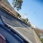 [댓글부탁해] (조언부탁)길고양이 구조 후 방사vs<b>임</b><b>보</b> 후 분양