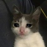 [NCT즌] 제발 4팀멤프들 <b>이미지</b> 실추시키지 마라