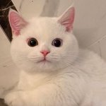 제발 존1나 슬픈 <b>포타</b> 알려줘라