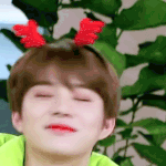 [NCT즌] 우리 강아지에게 따뜻한 박수와 <b>격려</b>