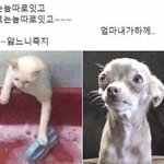 [드루와] <b>유빈</b>아 너 판 하는거 다보여