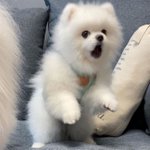 [드루와] 너네 생일날 친구들이<b>엽사</b>올리는거 ㅇㄸ?