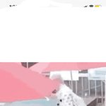 <b>해찬</b> 마크 사진인데