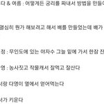 캐해석 장인이라는 여자 아이돌(<b>ft</b>. 우소)