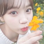 [댓글부탁해] 김채원 쌍꺼풀
