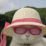 [드루와] 다크<b>서클</b> 있는 애들아 내가 개꿀팁 알려줄게