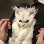나 옛날에 <b>가위</b> 눌린거