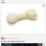 1군 <b>개이</b>돌이라고 앎?