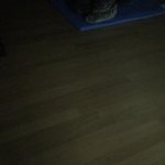 야야 소름돋뇌 쉬발 젓댈뻔햇어