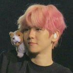 어른스런 시나몬 좀 웃기는 <b>민트</b>
