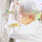 세븐틴 <b>정한</b>