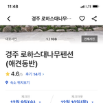 [이것좀봐줘] 이 <b>숙소</b> 예약가능?