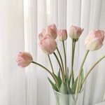 [댓글부탁해] 탐구 보고서 적으면서 <b>표절</b> 안하는법좀..