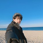 호시 넘 <b>귀여</b>웡