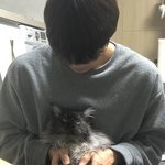 [드루와] 얘들아 이 바지 자르면 살릴 수 있을까?
