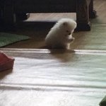 [조언부탁해] 전단지 알바 <b>일급</b> 이정도면 적당한거야..?