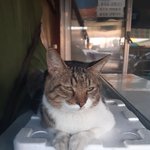 요즘국힙ㄹㅇ극혐임
