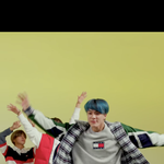 [NCT즌] 천재강아지 공유합니다