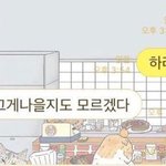 [드루와] ㅅㅂㅅㅂ쪽팔려 뒤지겠음