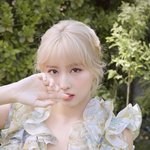 트와 욕하는 애들 개웃<b>기네</b>