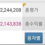 1년동안 주식 결과