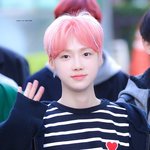 최찬희 붓기 <b>체감</b>짤