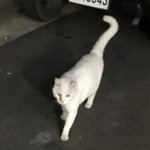 얘드라 나 오늘 쌍수하는데