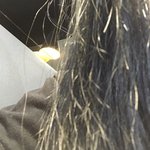 [이것좀봐줘] 내 머리 염색 3번하고 2번 덮으니까