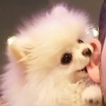 [댓글부탁해] 나 내일 <b>첫</b><b>알</b>바가는데 <b>알</b>바해본사람ㅠㅠ 제발아무나들어어ㅏ주