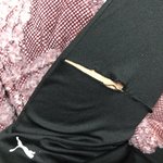 [조언부탁해] 얘드라 <b>실밥</b> 뜯다가 옷 찢어졌는데 엄마한테 안 들키고...