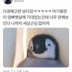 <b>연혁</b> 유료본 본 애들아