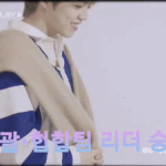 [세븐틴] 승철,지훈 <b>보정</b>