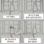 [ㅈㄱㄴ] 강아지 좋아하는 사람 싫어