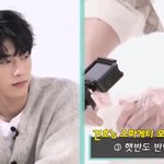 [드루와] 나 취향 ㄹㅇ <b>개소</b>나무 봐봐