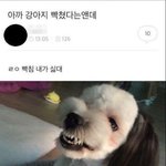 야 이거 뭐임