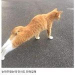 [이것좀봐줘] 아 ㅅ발 마스크 좀 껴라 제발