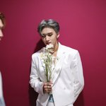 [펜타곤] 내 <b>꿈속</b>의 한 송이의 데이ㅈ...