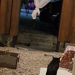 야 <b>솔</b><b>찌</b>키 아이폰 역대급 ㄱㅊ은건 머임?