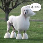 약혐)내 피부 너무 심각한데 어떻게 해ㅠㅠ??