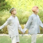 내<b>씨피</b>나 보고가