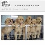 [NCT즌] 맨 <b>왼쪽</b> 귀척 쩔어