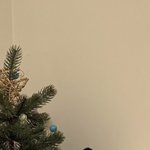 [NCT] 이 사진 <b>출처</b>가 어디야?