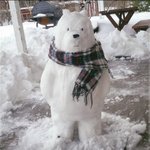 [방탈죄송] 모사이트에 불법촬영물이 올라왔습니다 도와주세요