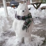 [이것좀봐줘] 모사이트에 불법촬영물이 올라왔습니다 도와주세요