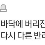 [댓글부탁해] 반려동물 몸커지면 버리고 작은애 입<b>양남</b>돌 ㄴㄱ