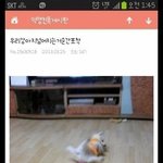 [댓글부탁해] 설마 내일 중학생들도 학교 안감??