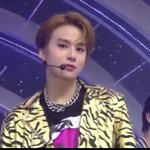 [NCT즌] 치타든<b>와일드</b>바디든 드루와드루와 늘 이쁜 울정우 찢었다...