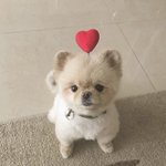[모두드루와] <b>우왕</b> 여기있는 애들 싸그리 다 고소먹었우면 좋겠다