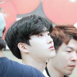 컨셉질 추반좀
